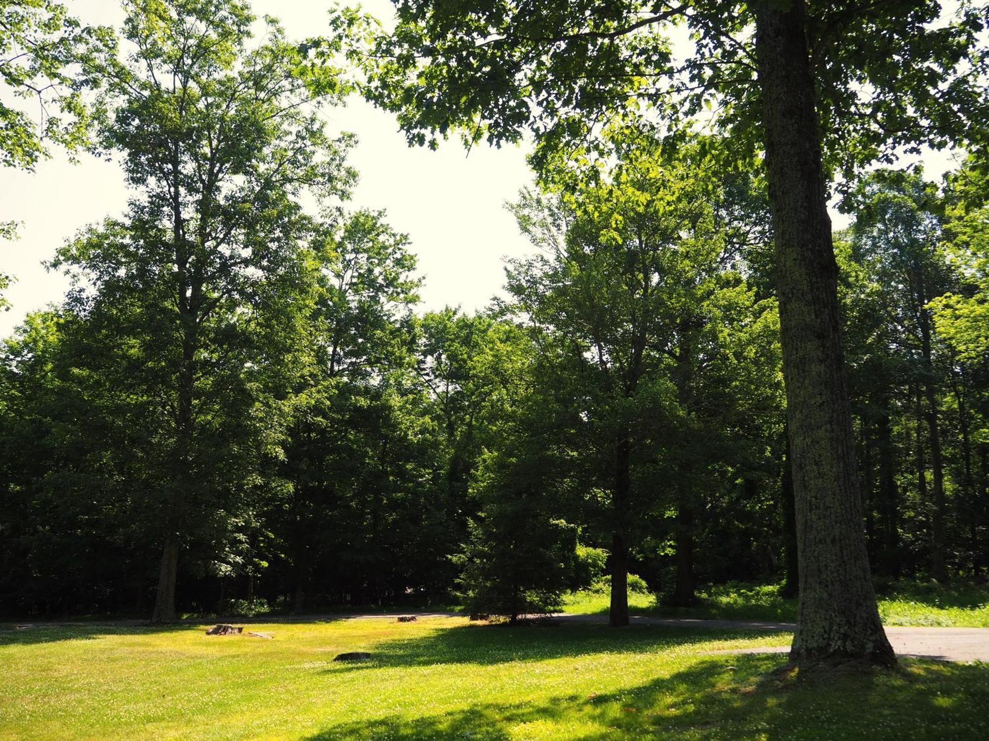 Woodfield Manor - A Sundance Vacations 3*